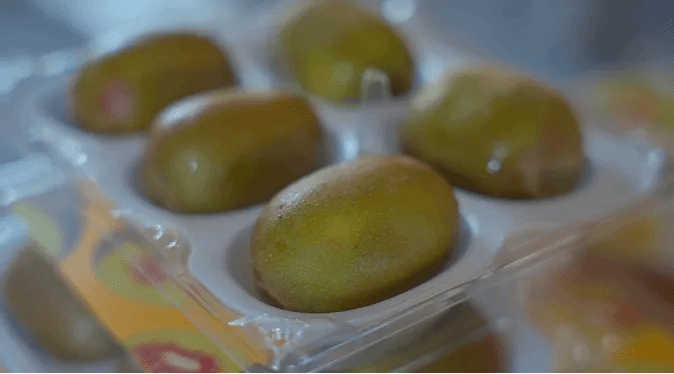 首页- Z6官网中国区人生就是博