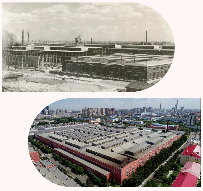 首页- Z6官网中国区人生就是博