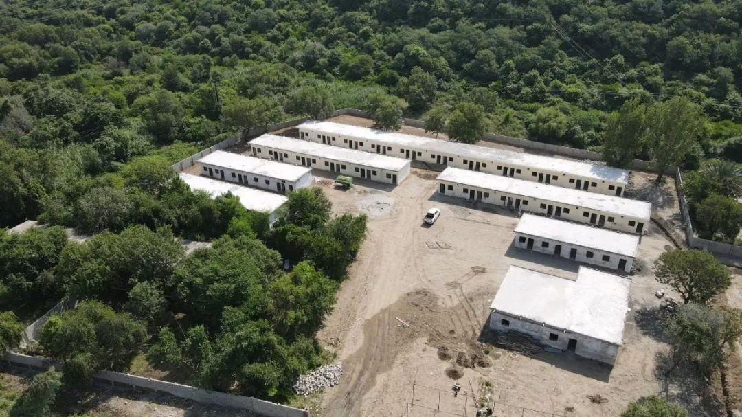 首页- Z6官网中国区人生就是博