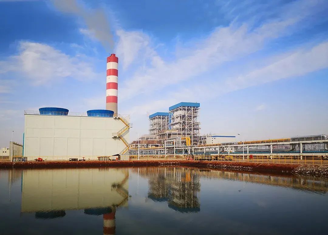 首页- Z6官网中国区人生就是博